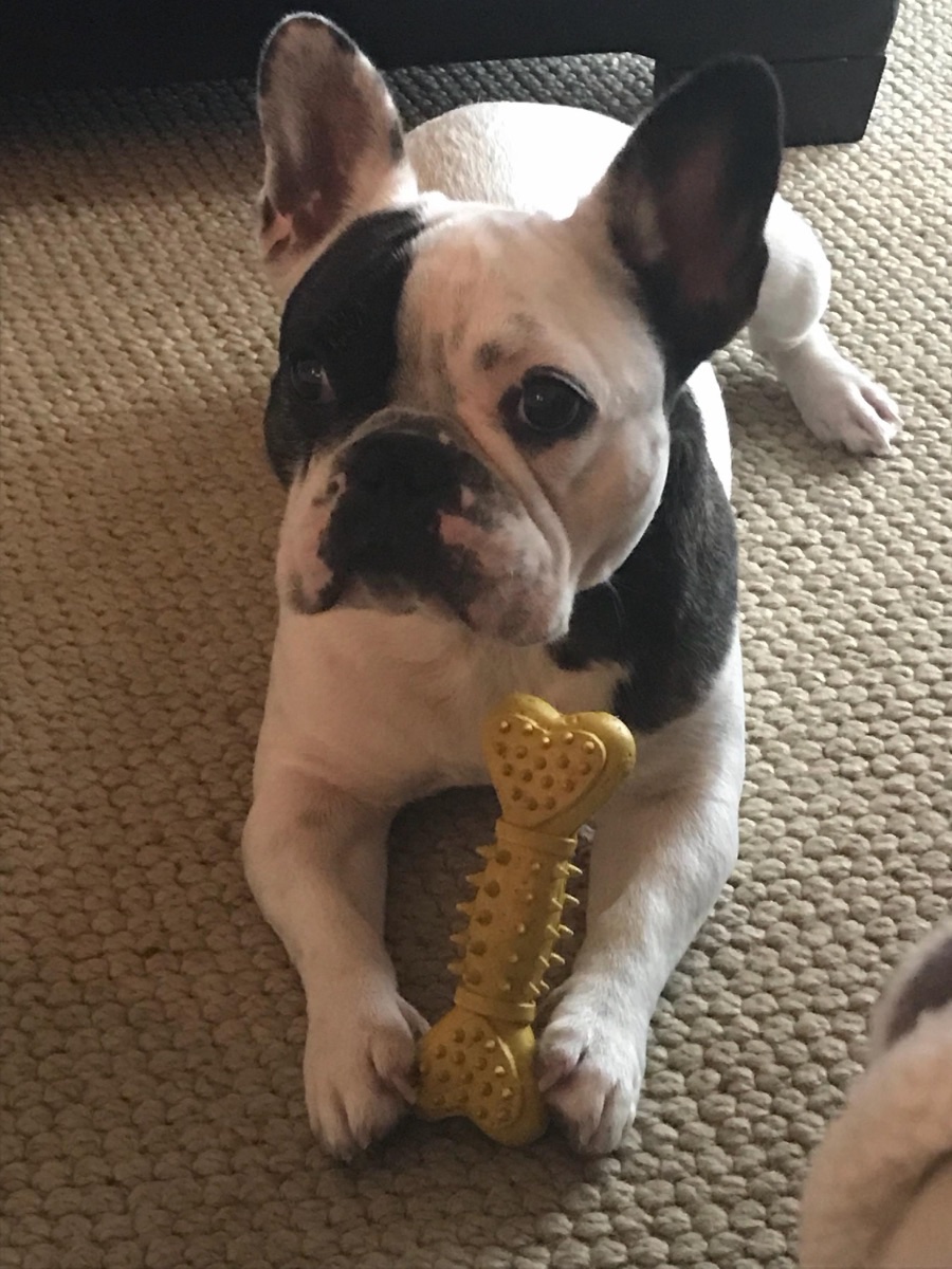 Rambo