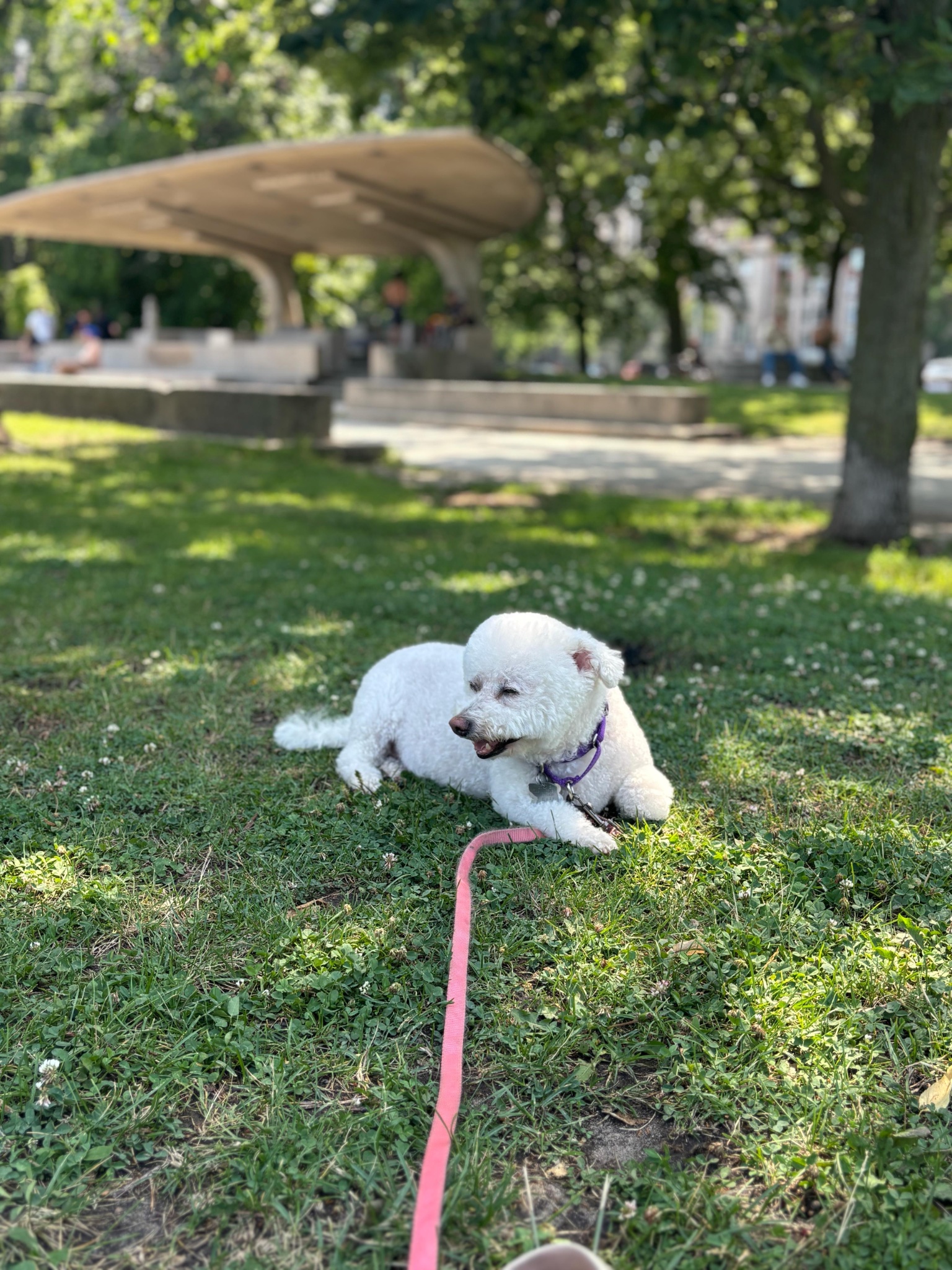 Snowie 