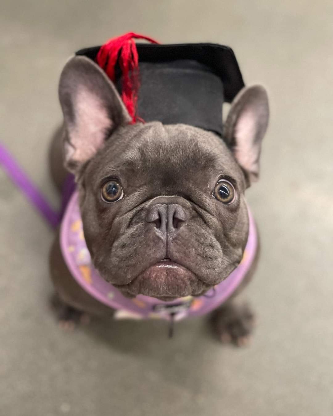 Zoey