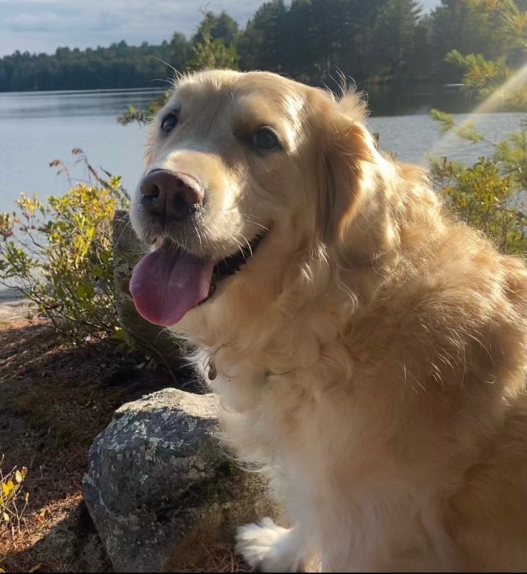 Maggie