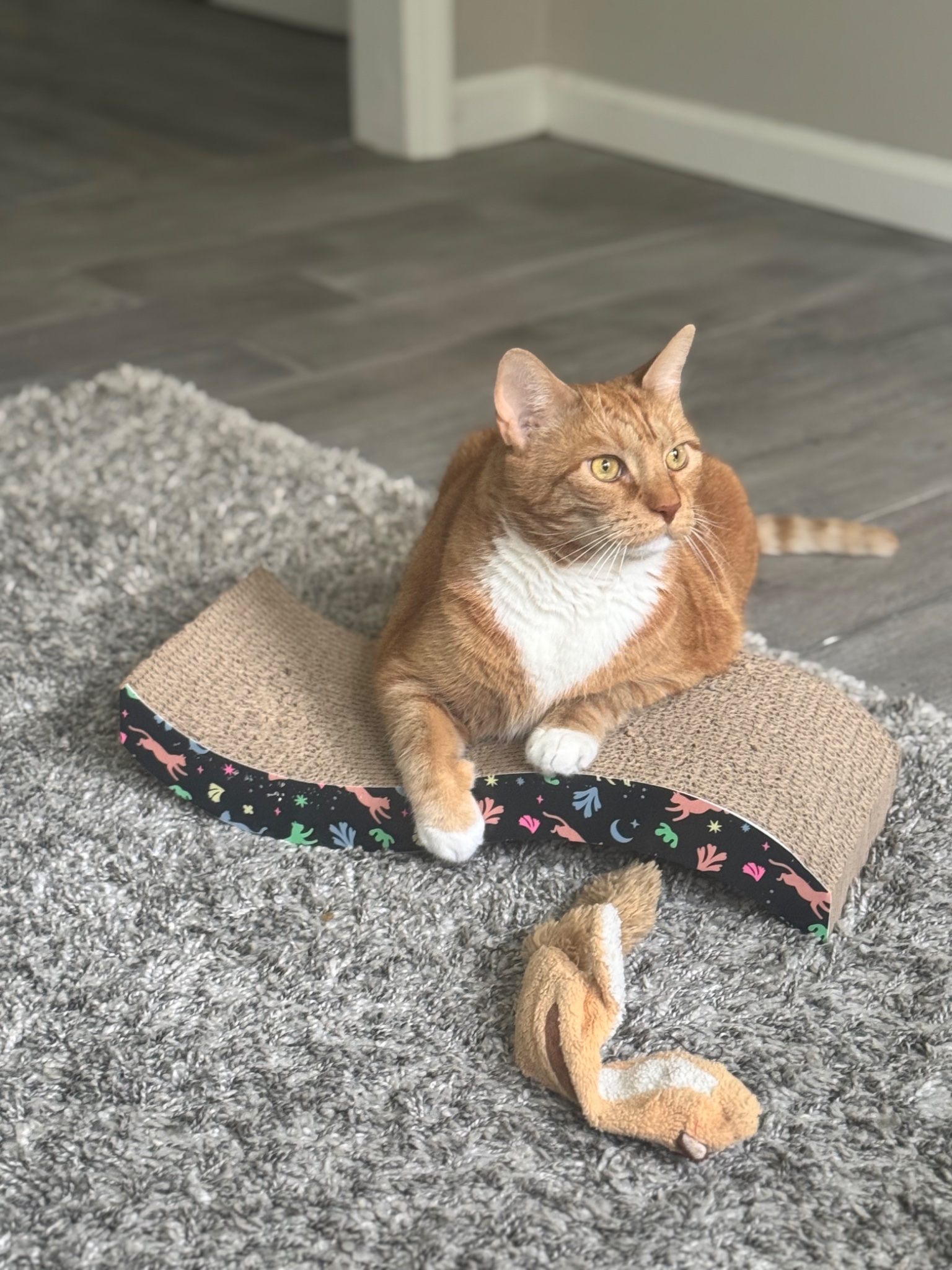 Pretzel